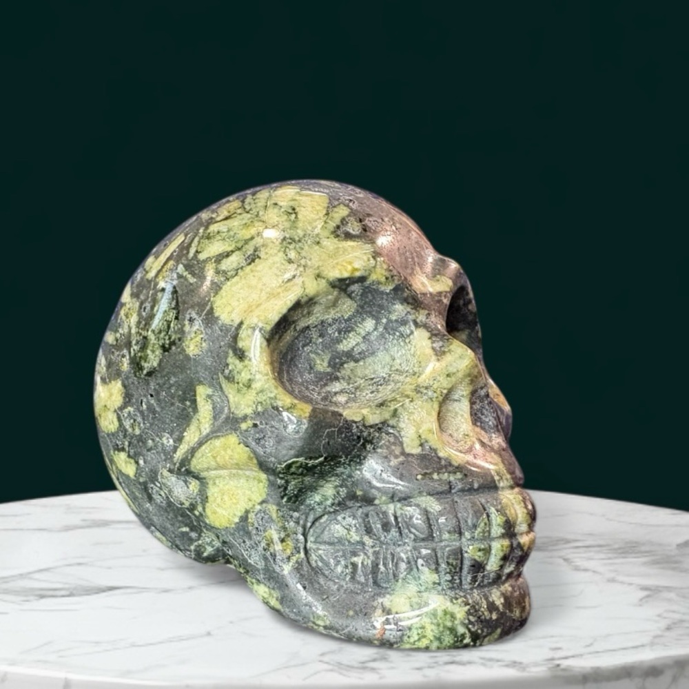 Chrysanthemum Stone Skull